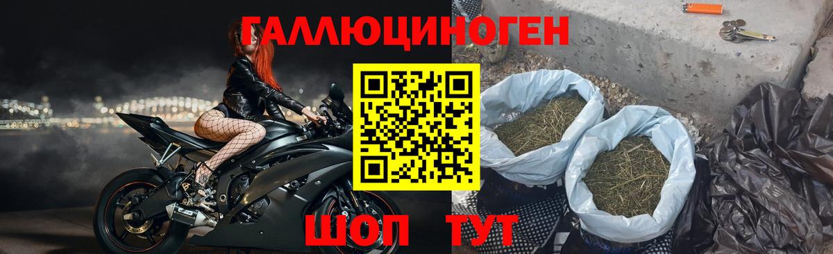 Псилоцибиновые грибы GOLDEN TEACHER Орехово-Зуево