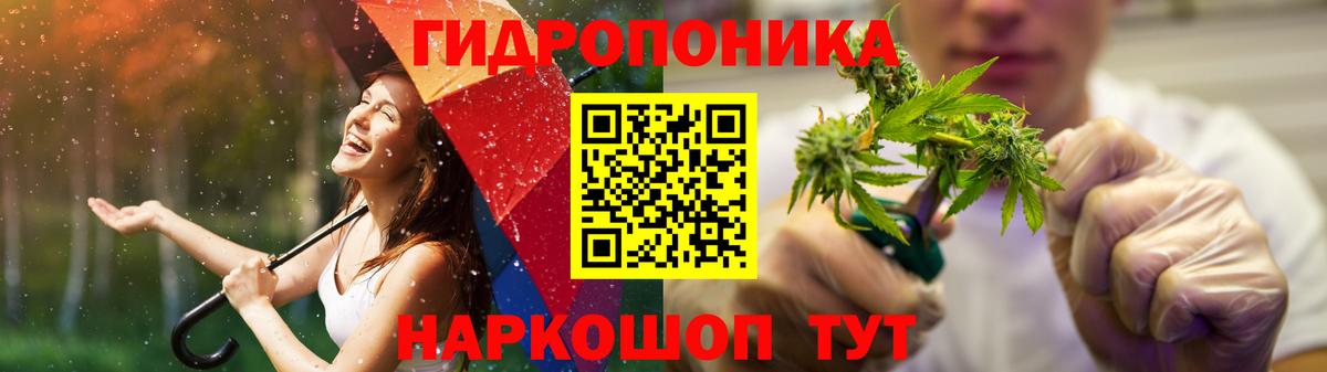 Конопля сатива Орехово-Зуево